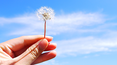 wwpic133.jpg wwpic133.jpg